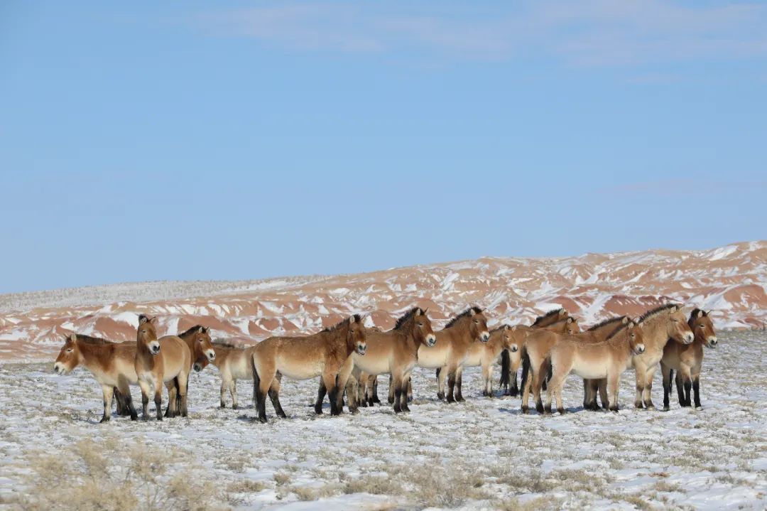 绾垫í椹伴獘绛栭┈鎵灜瑙嗛,绾垫í椹伴獘鍙ュ瓙