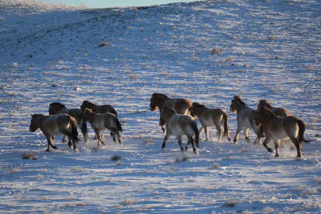 绾垫í椹伴獘绛栭┈鎵灜瑙嗛,绾垫í椹伴獘鍙ュ瓙