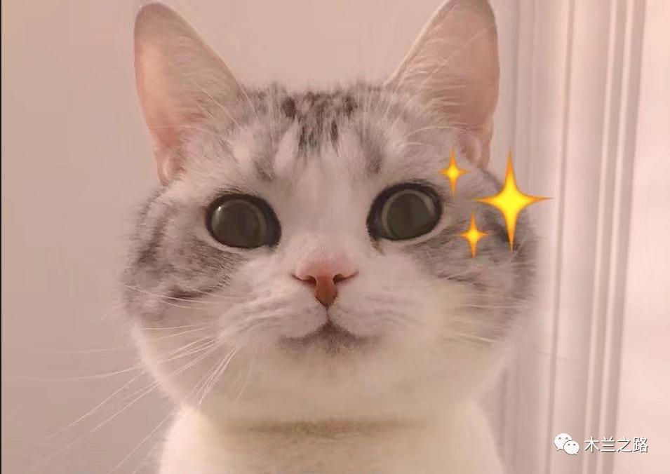 黄精复合酵素,黄精酵素原液的功效与作用