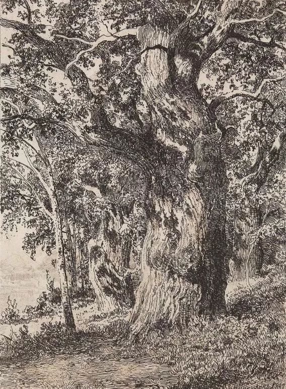 杰出人物素描画,超写实风景素描图片