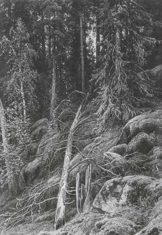 杰出人物素描画,超写实风景素描图片