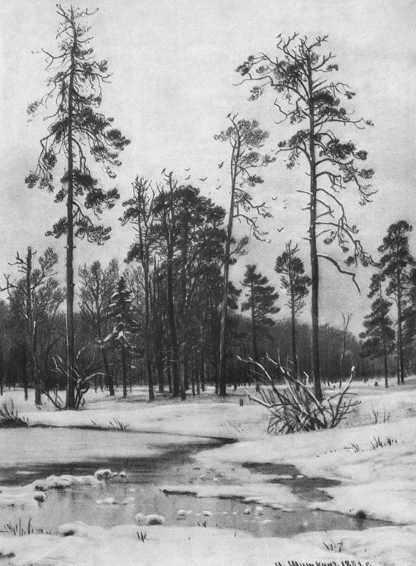 杰出人物素描画,超写实风景素描图片