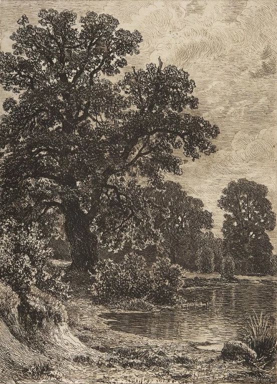 杰出人物素描画,超写实风景素描图片