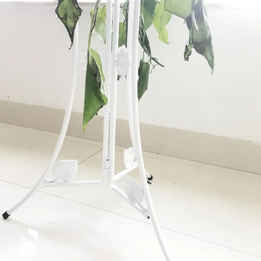 五一你想好去哪里了吗,你们的五一在哪里度过