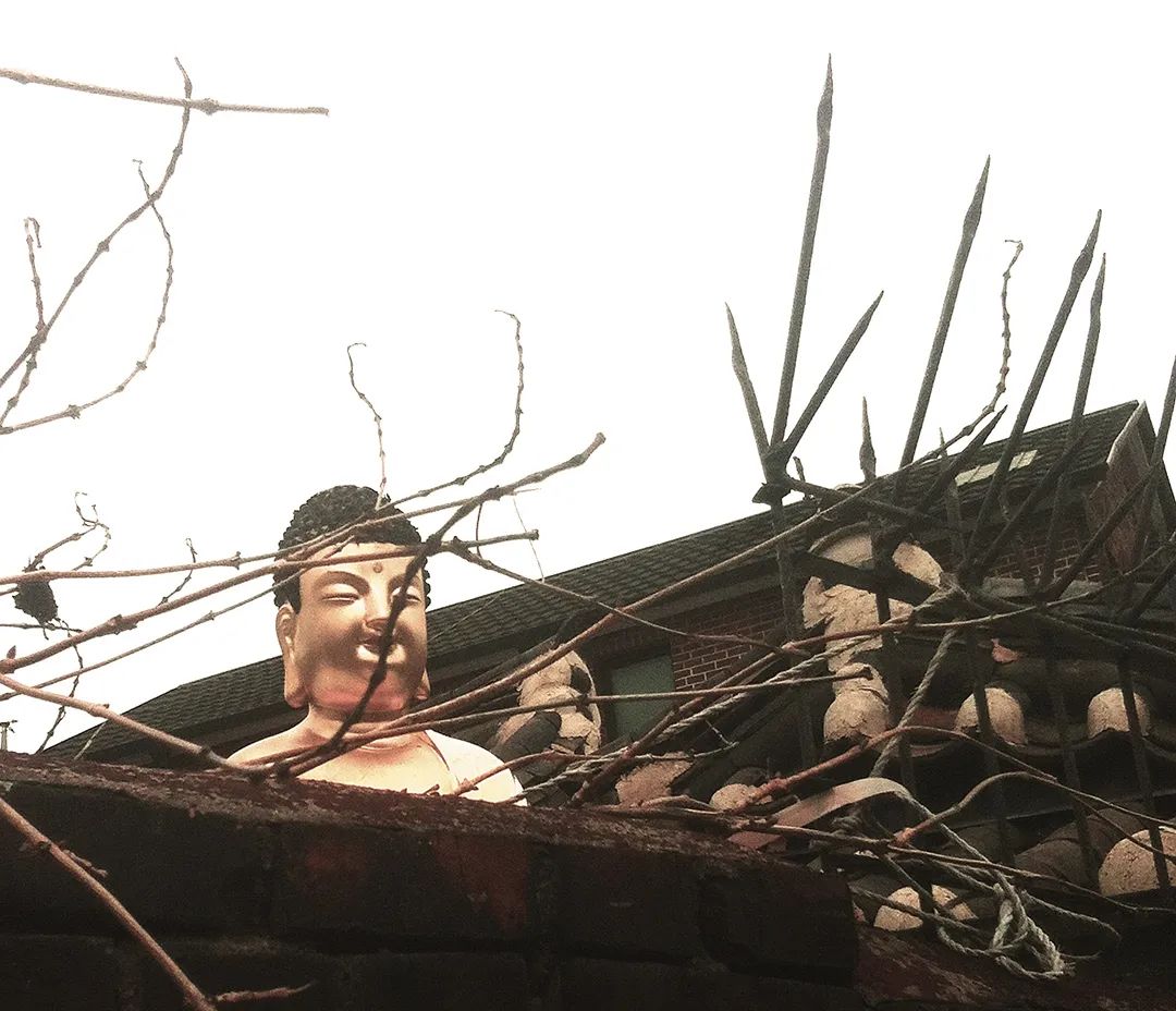 五一你想好去哪里了吗,你们的五一在哪里度过