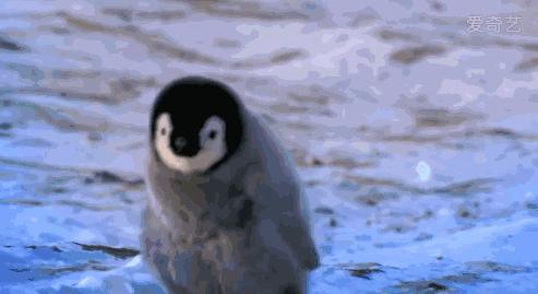 孕妇走在路上孩子突然掉出来了,孕妇在散步孩子突然掉出来