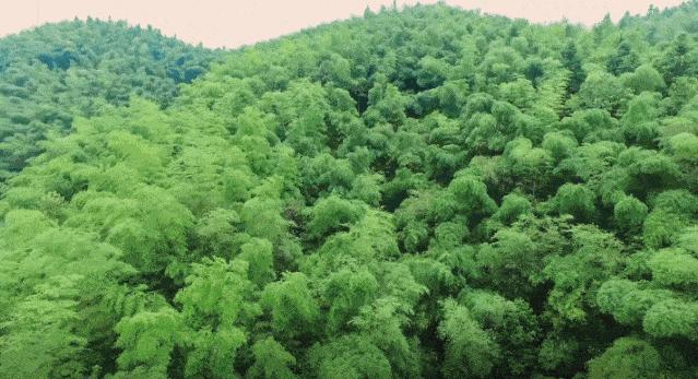 以案释法不公平怎么办,以案释法为什么赢了官司还被罚