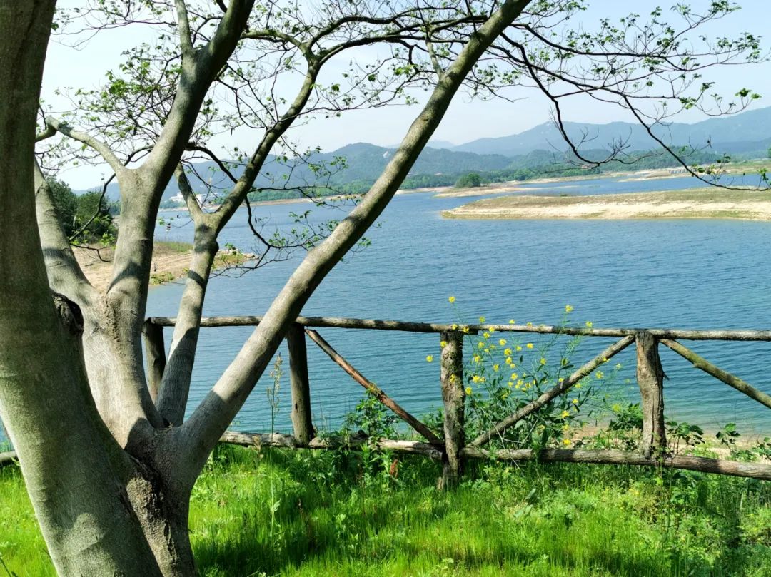 武汉开车1.5小时|通透如琉璃的“蓝丝绸”湖,有人在湖畔造了500亩撒欢营地「432集」