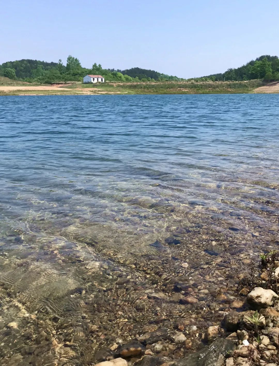 武汉开车1.5小时|通透如琉璃的“蓝丝绸”湖,有人在湖畔造了500亩撒欢营地「432集」