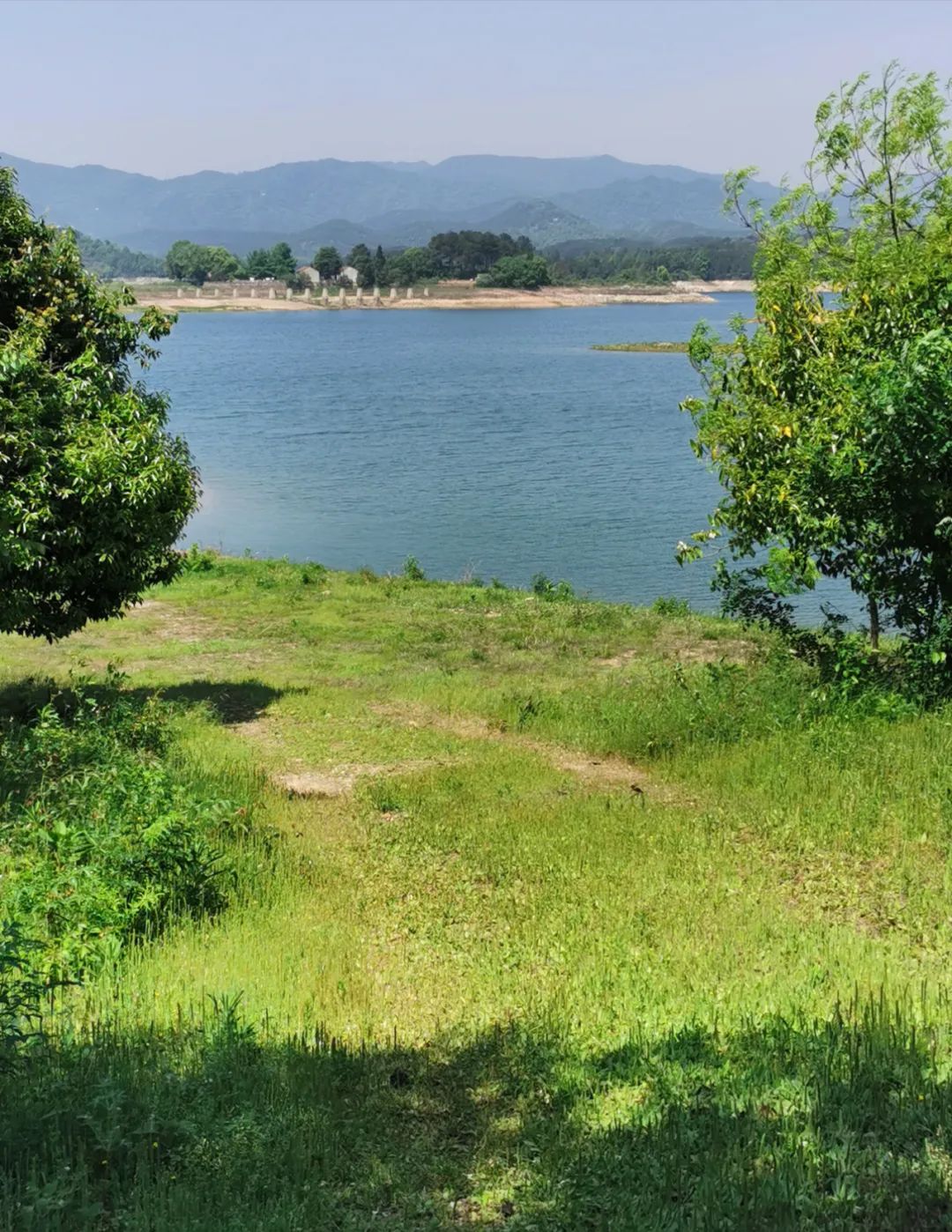 武汉开车1.5小时|通透如琉璃的“蓝丝绸”湖,有人在湖畔造了500亩撒欢营地「432集」