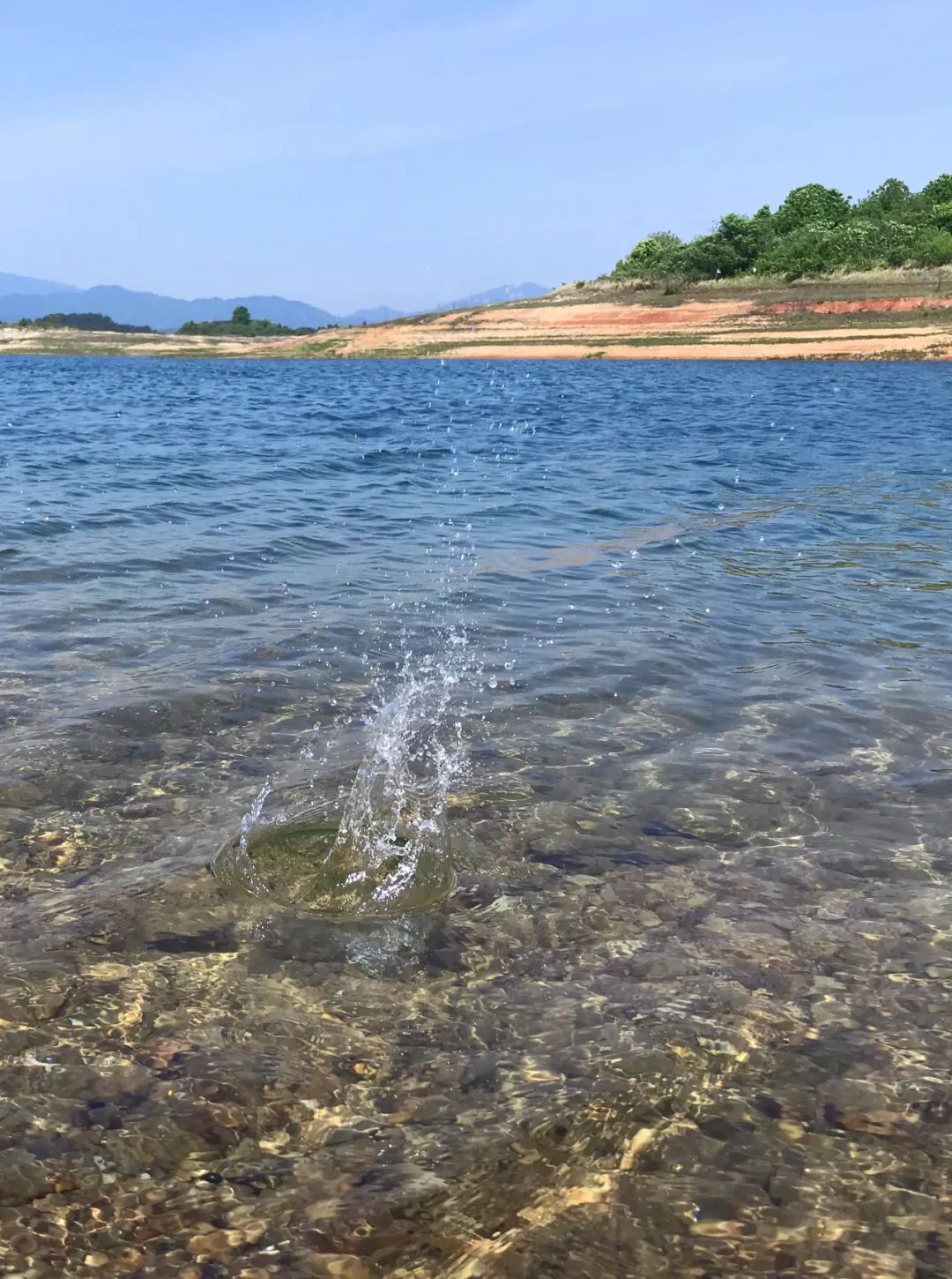 武汉开车1.5小时|通透如琉璃的“蓝丝绸”湖,有人在湖畔造了500亩撒欢营地「432集」