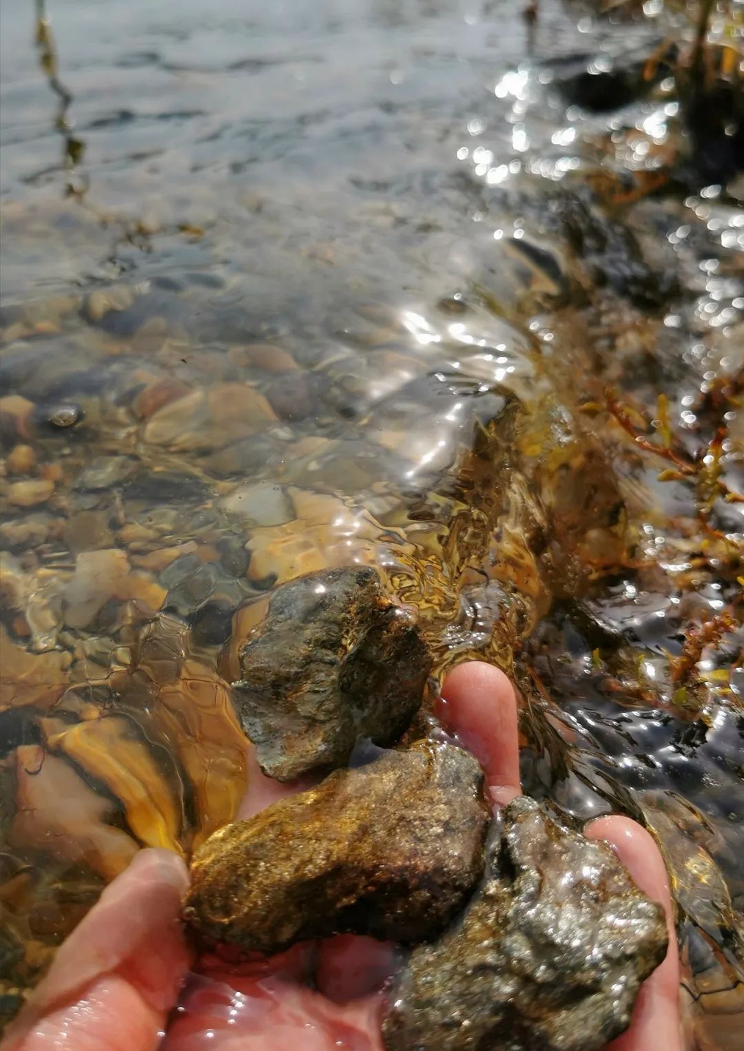 武汉开车1.5小时|通透如琉璃的“蓝丝绸”湖,有人在湖畔造了500亩撒欢营地「432集」