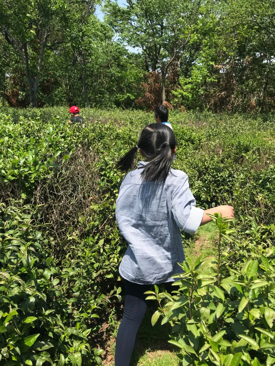 武汉开车1.5小时|通透如琉璃的“蓝丝绸”湖,有人在湖畔造了500亩撒欢营地「432集」