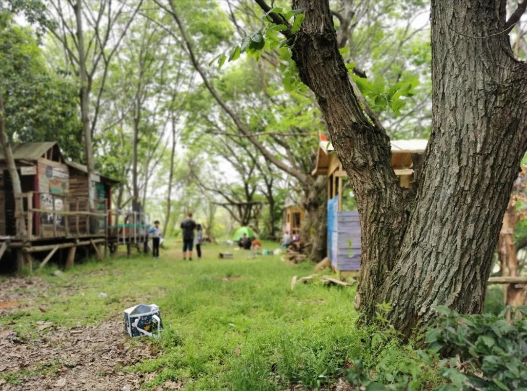 武汉开车1.5小时|通透如琉璃的“蓝丝绸”湖,有人在湖畔造了500亩撒欢营地「432集」