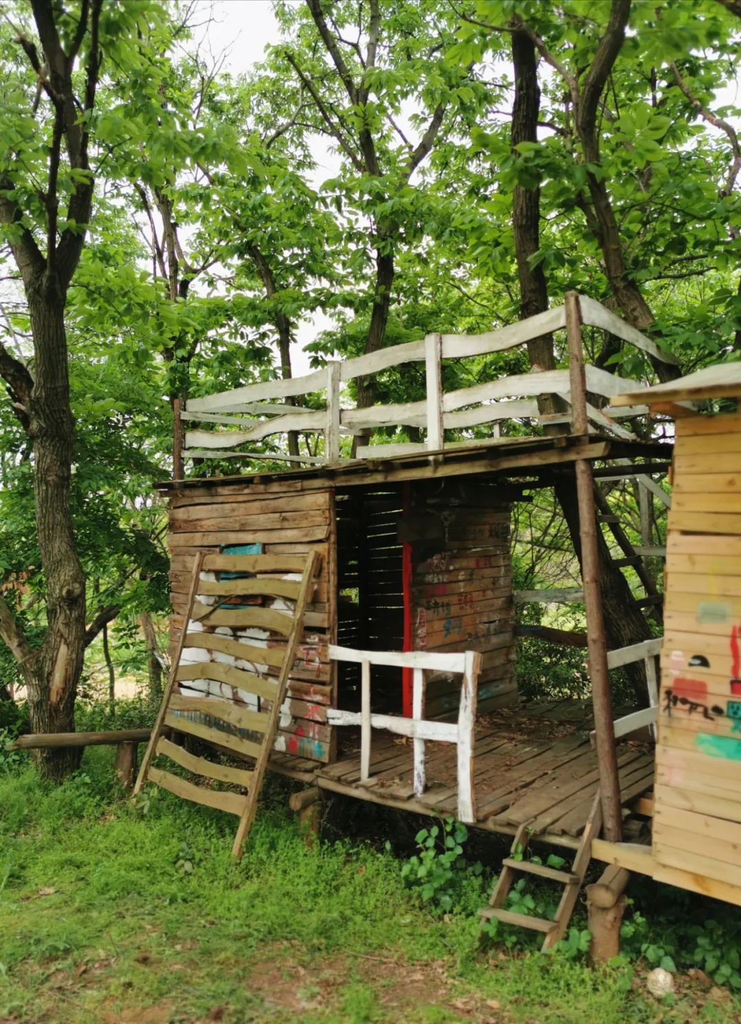 武汉开车1.5小时|通透如琉璃的“蓝丝绸”湖,有人在湖畔造了500亩撒欢营地「432集」