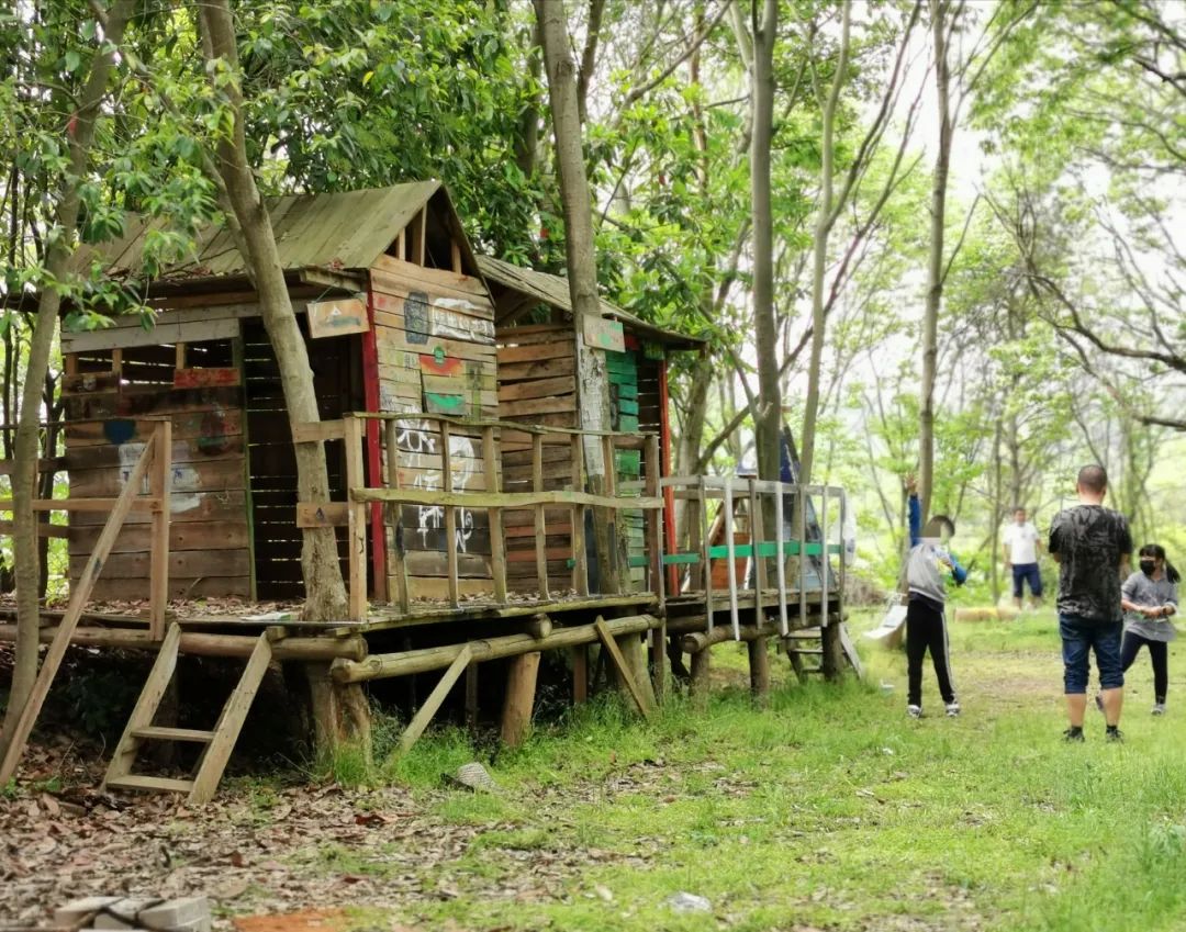 武汉开车1.5小时|通透如琉璃的“蓝丝绸”湖,有人在湖畔造了500亩撒欢营地「432集」