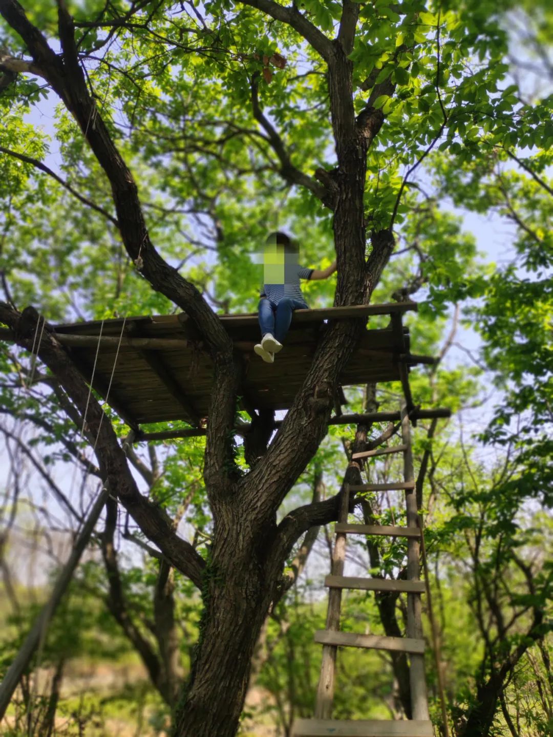 武汉开车1.5小时|通透如琉璃的“蓝丝绸”湖,有人在湖畔造了500亩撒欢营地「432集」