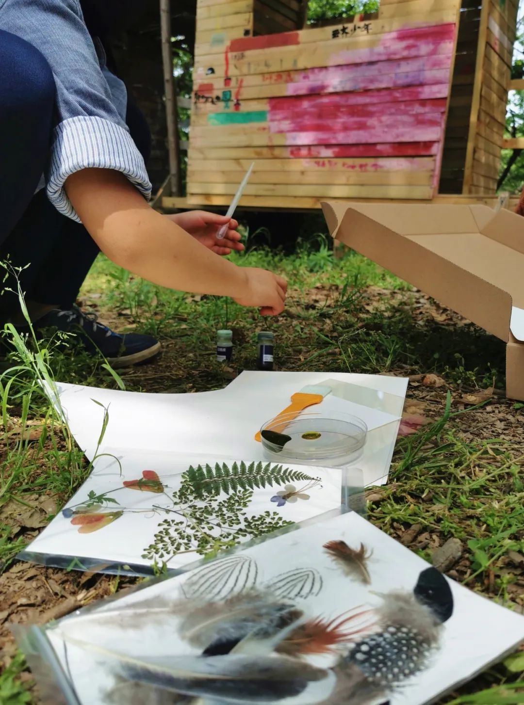 武汉开车1.5小时|通透如琉璃的“蓝丝绸”湖,有人在湖畔造了500亩撒欢营地「432集」