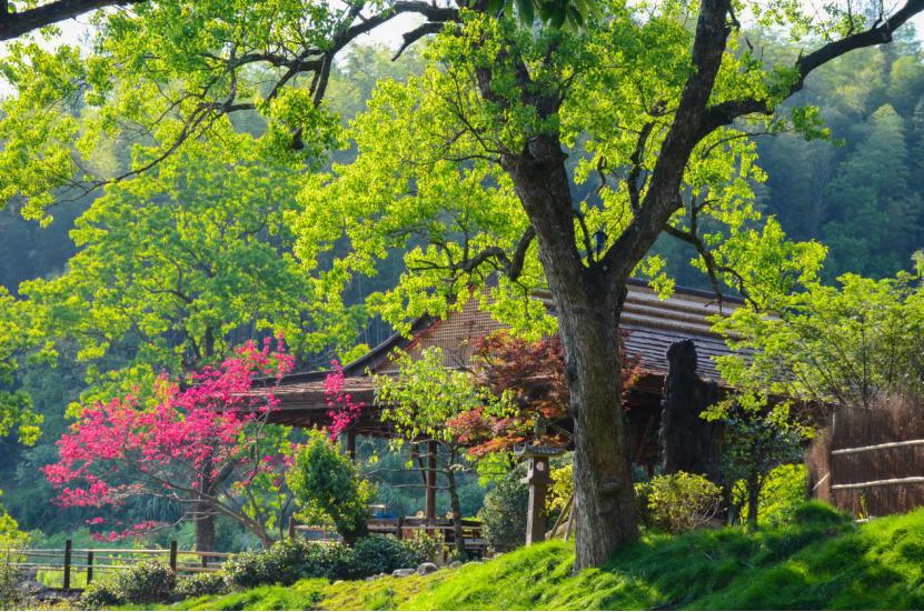 春游江淮请您来活动展示,春游江淮请你来寻梦