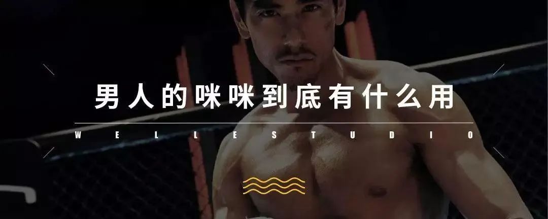 烤箱推荐家用厨房,烤箱推荐家用第一名烘焙神器