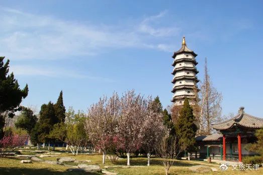 五一旅游天津门票,天津故宫免费旅游时间