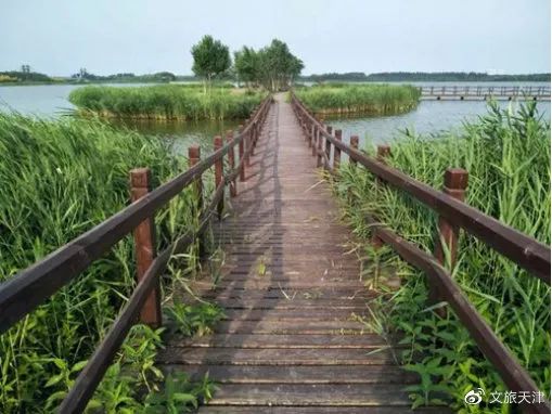 五一旅游天津门票,天津故宫免费旅游时间