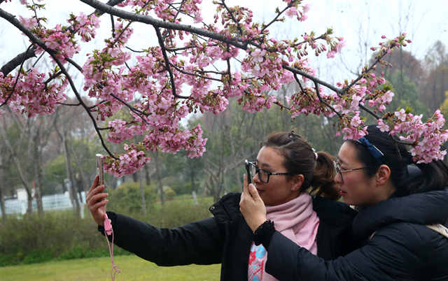 五五购物节怎么打折,五五购物节哪些商场打折