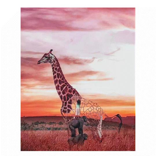 不会PS的人，你已经错过很多机会