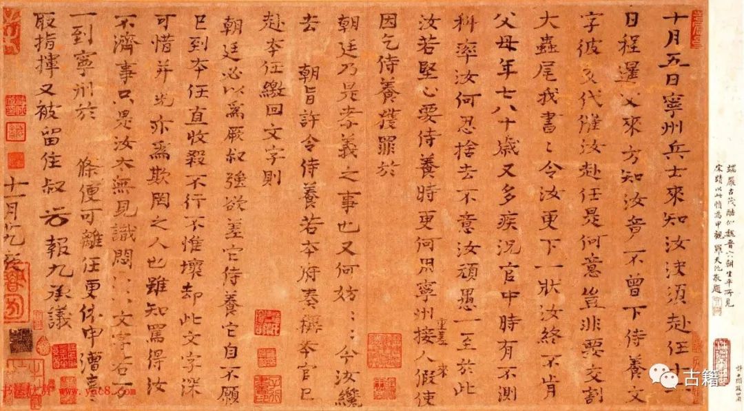 赵冬梅司马光完整版,赵冬梅宋仁宗完整视频