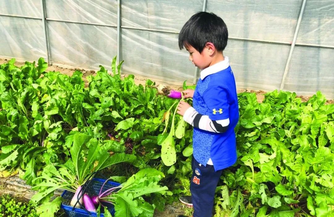 五一出行必备100个攻略,五一出行峨眉山攻略