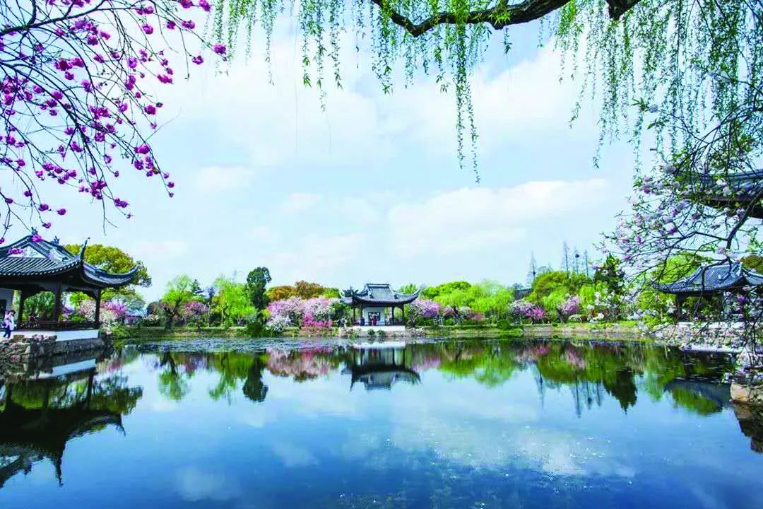 五一出行必备100个攻略,五一出行峨眉山攻略