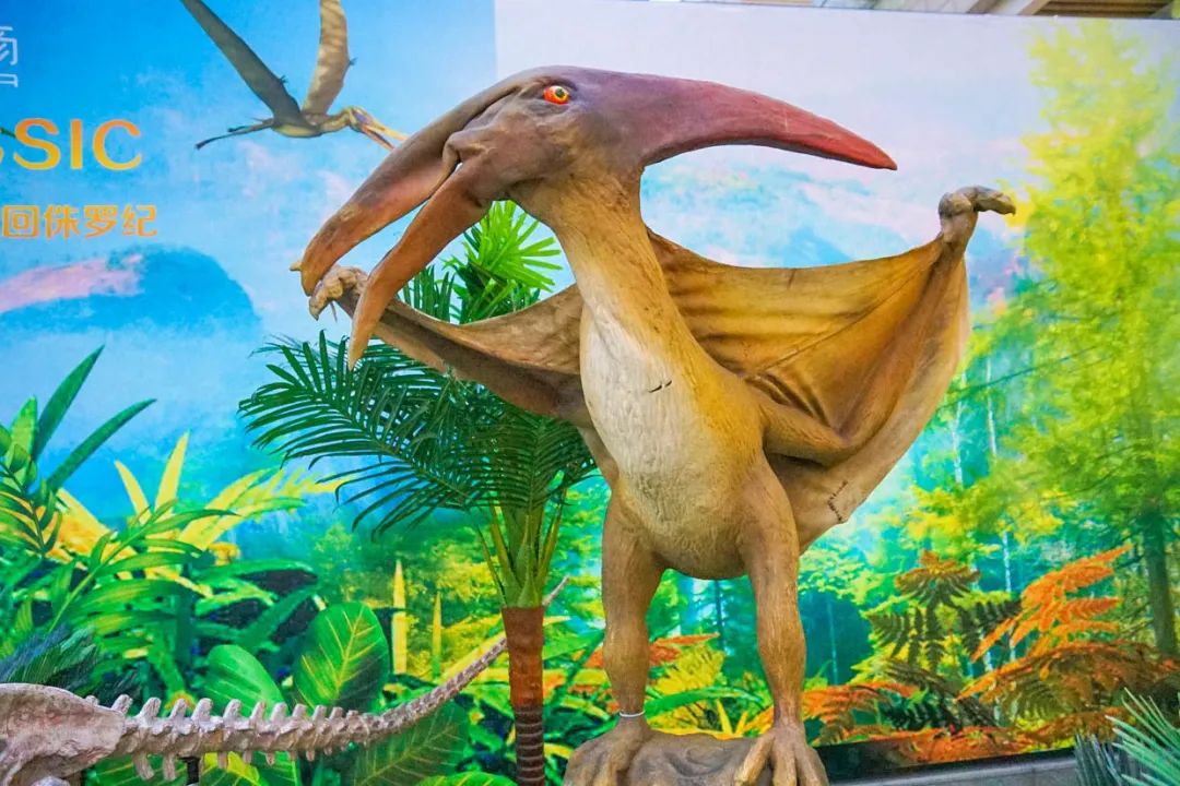 侏罗纪恐龙公园优惠券,侏罗纪恐龙团购优惠推荐