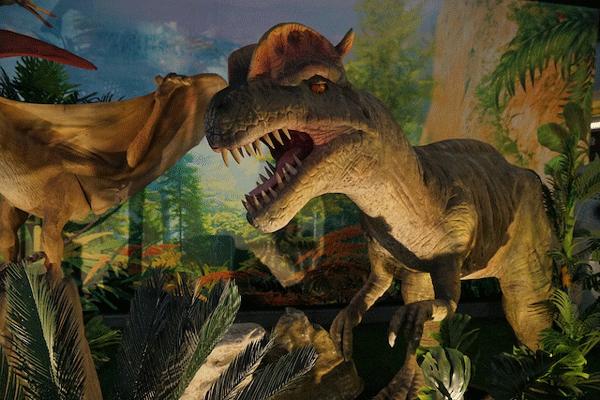 侏罗纪恐龙公园优惠券,侏罗纪恐龙团购优惠推荐