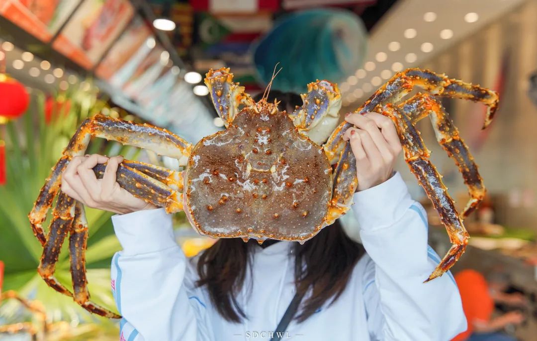 侏罗纪恐龙公园优惠券,侏罗纪恐龙团购优惠推荐