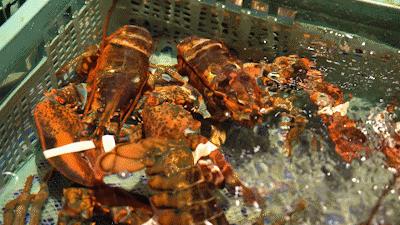 侏罗纪恐龙公园优惠券,侏罗纪恐龙团购优惠推荐