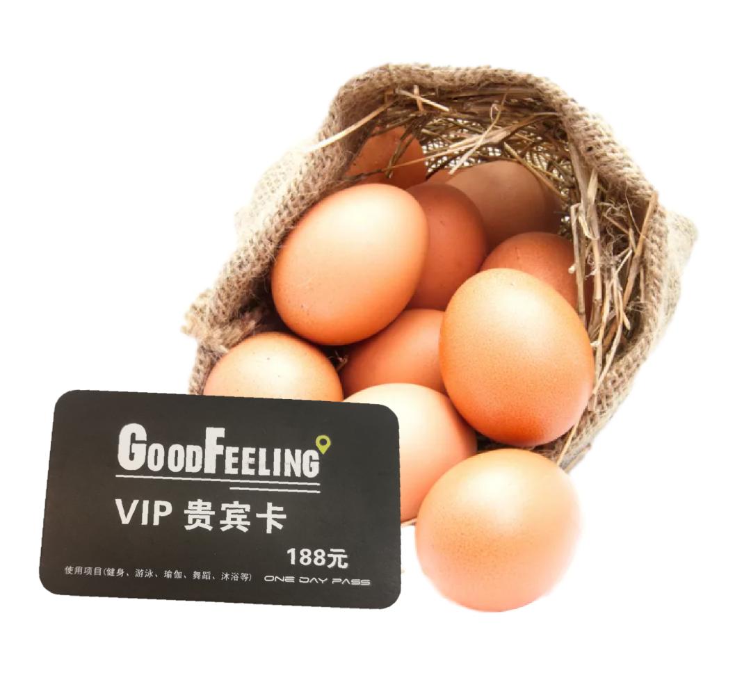 侏罗纪恐龙公园优惠券,侏罗纪恐龙团购优惠推荐