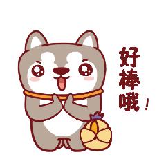 棒！青田中医医院加入“120”，肩负急救抢救使命