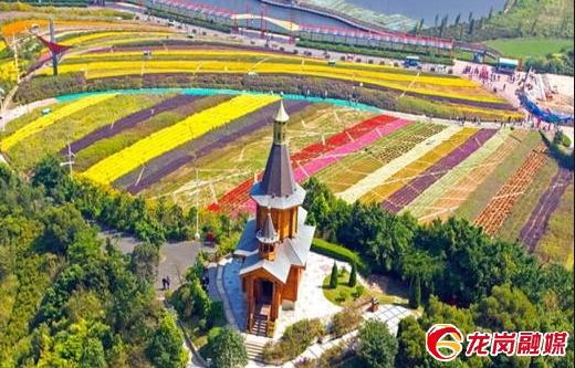 龙岗五一最佳去处,龙岗五一打卡景点