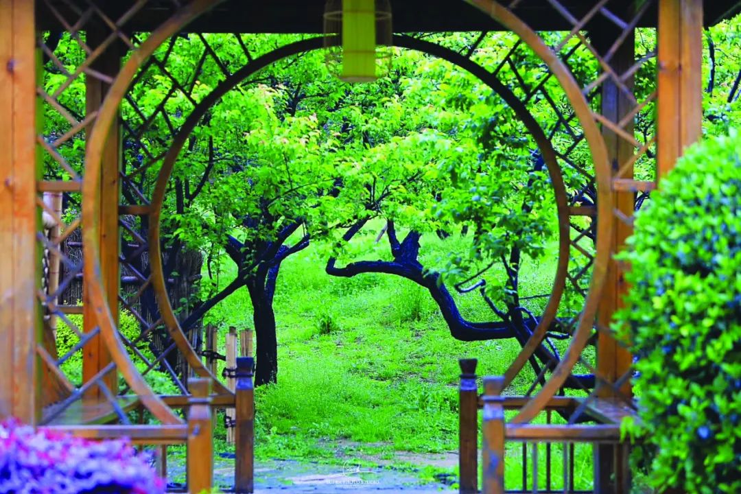 五一出行必备100个攻略,五一出行峨眉山攻略