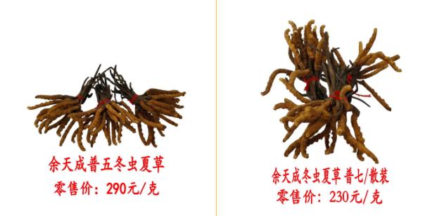 鍐櫕澶忚崏鐭虫枦绀肩洅,鍐櫕澶忚崏閾佺毊鏋枟