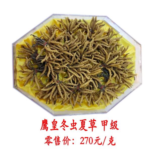 鍐櫕澶忚崏鐭虫枦绀肩洅,鍐櫕澶忚崏閾佺毊鏋枟