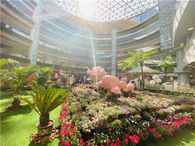 五五购物节百联领券,五五购物节活动优惠