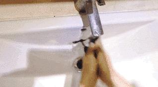 扔掉没用的捂脸布！360°“V”脸的它才是王道