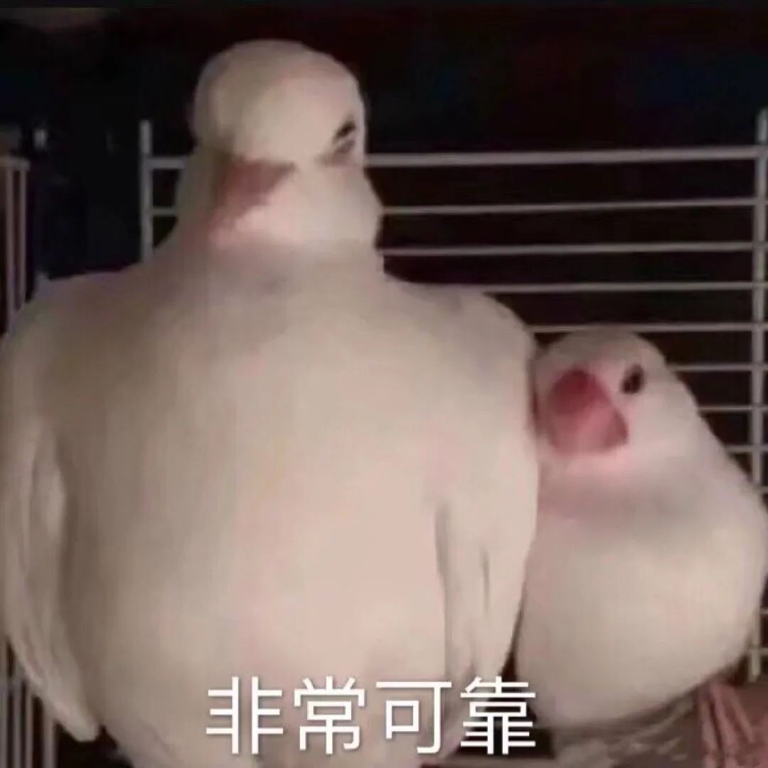 正品不刺激皮肤脱毛膏,猕猴桃脱毛膏哪种最好