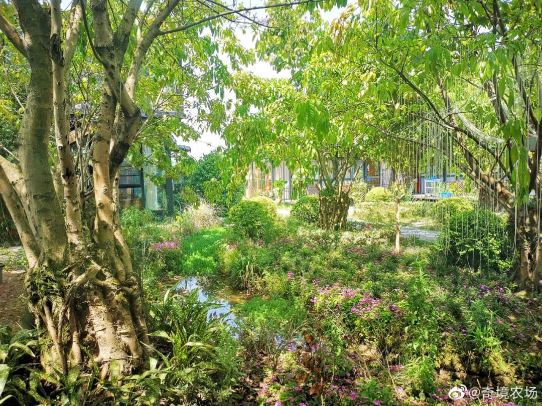 五月成都周边网红打卡地一日游,成都五月周末打卡推荐