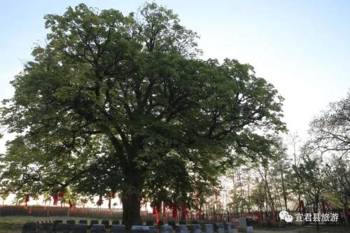 宜君美景,宜君风景名胜