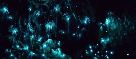 设计如何进行灵感的捕捉,设计灵感与作品