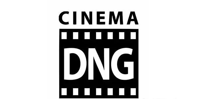 视频文件格式解读,视频格式最实用