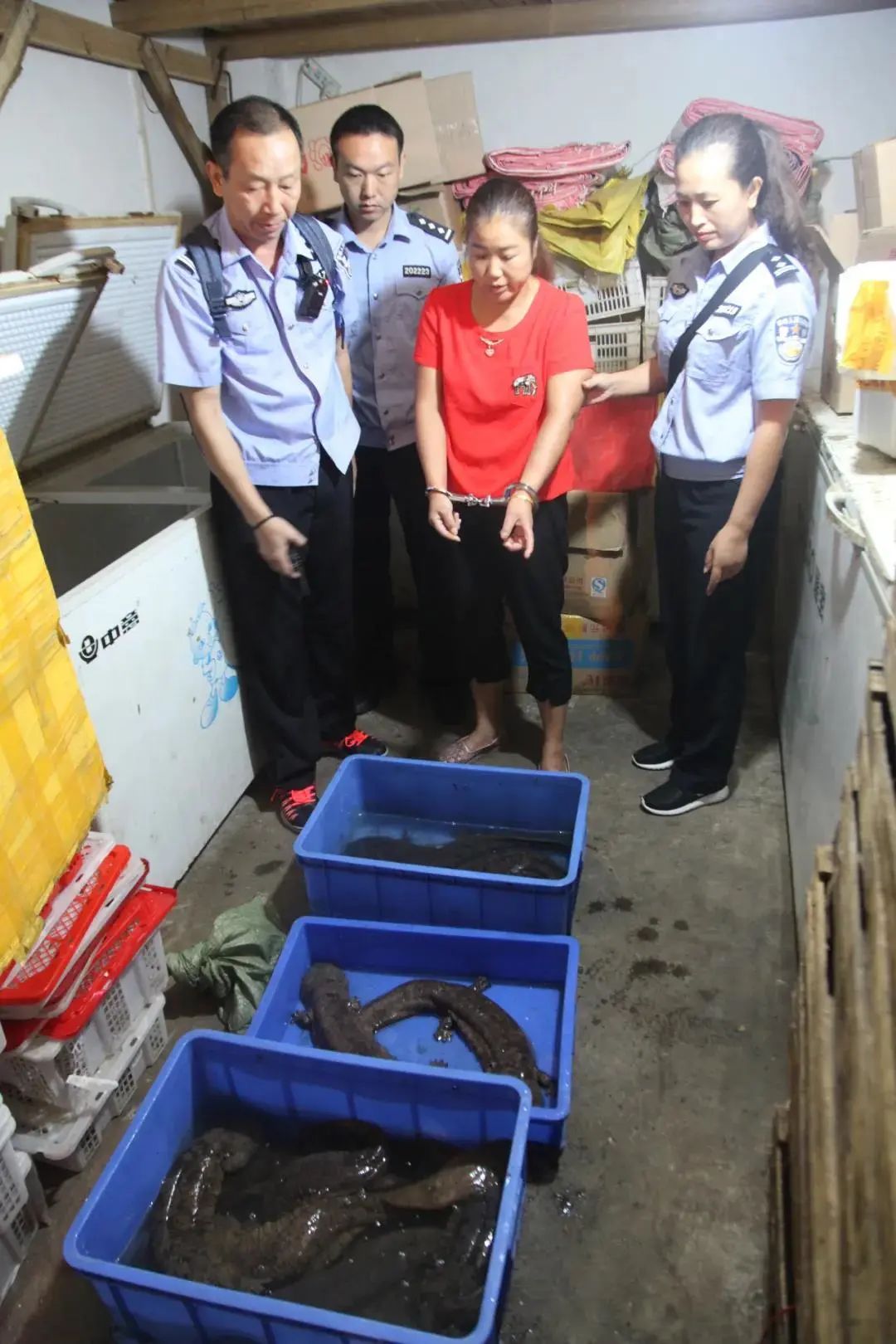 非法经营野生动物是什么违法行为,近年来查处野生动物案件情况