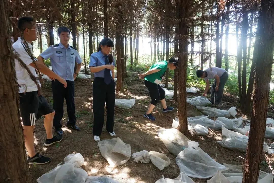 非法经营野生动物是什么违法行为,近年来查处野生动物案件情况